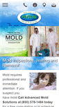 Mobile Screenshot of moldsolution.net